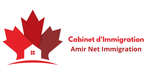 amirnetimmigration.com